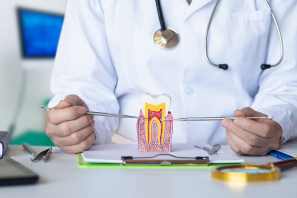 Best Chipped Tooth Repair Near Me  in Dacula, GA